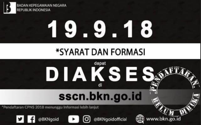Hari Ini, Website Penerimaan CPNS Sudah Bisa Diakses!