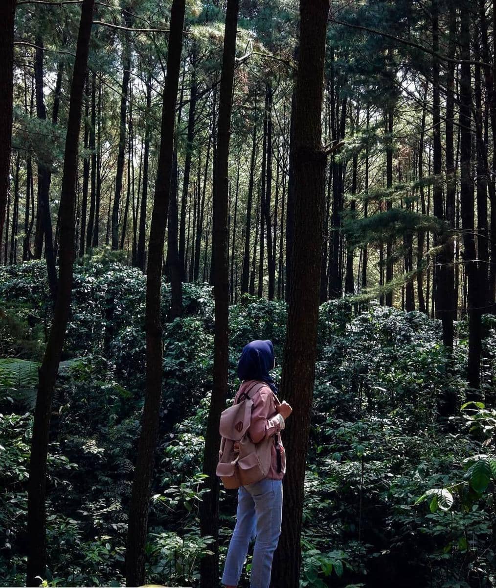 instagram.com/restidwinovian