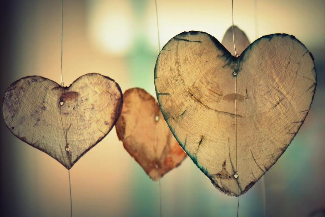 pixabay.com/Ben_Kerckx