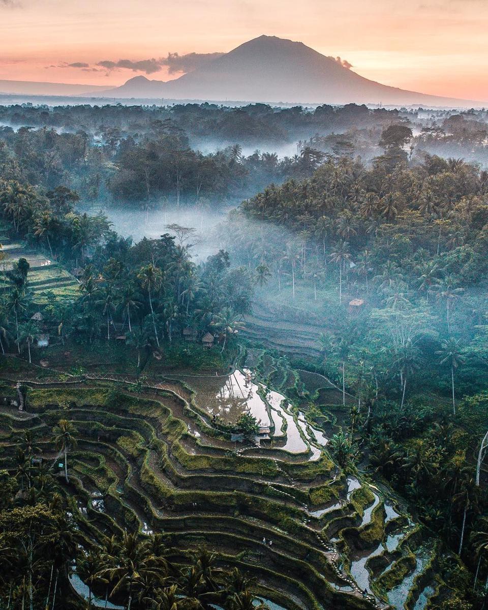 8 Pesona Sawah Tegalalang yang Siap Bikin Kamu Pengen Kesana!