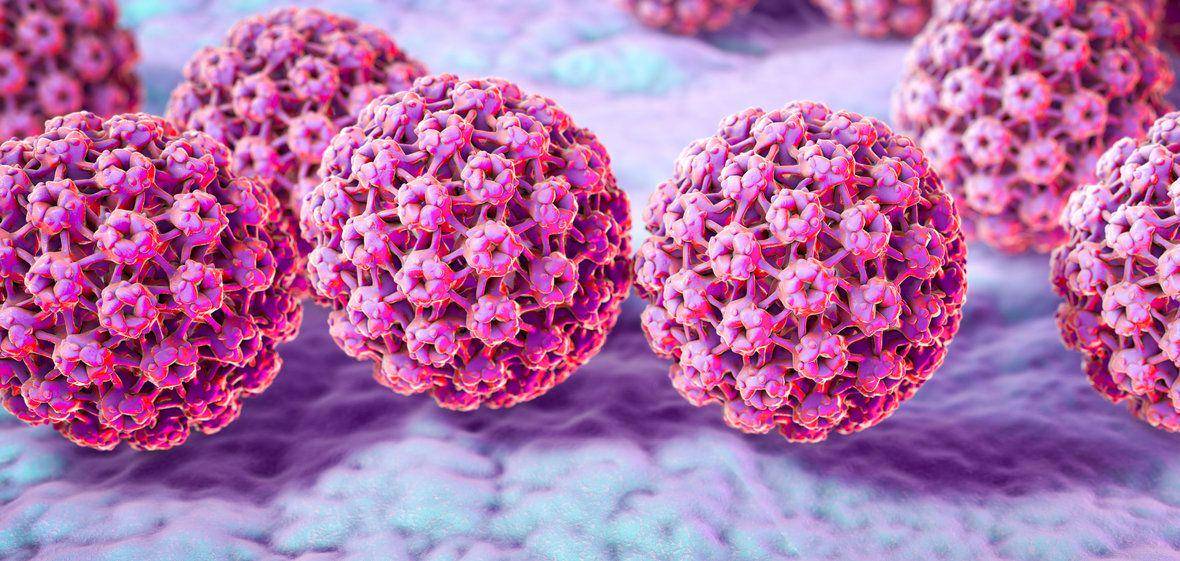 ilustrasi HPV (unr.edu)