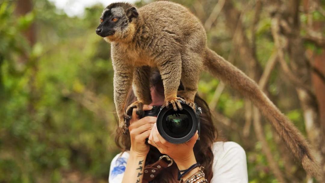 Awas Salah, Ini 7 Panduan Dasar Perlengkapan Foto di Alam Bebas