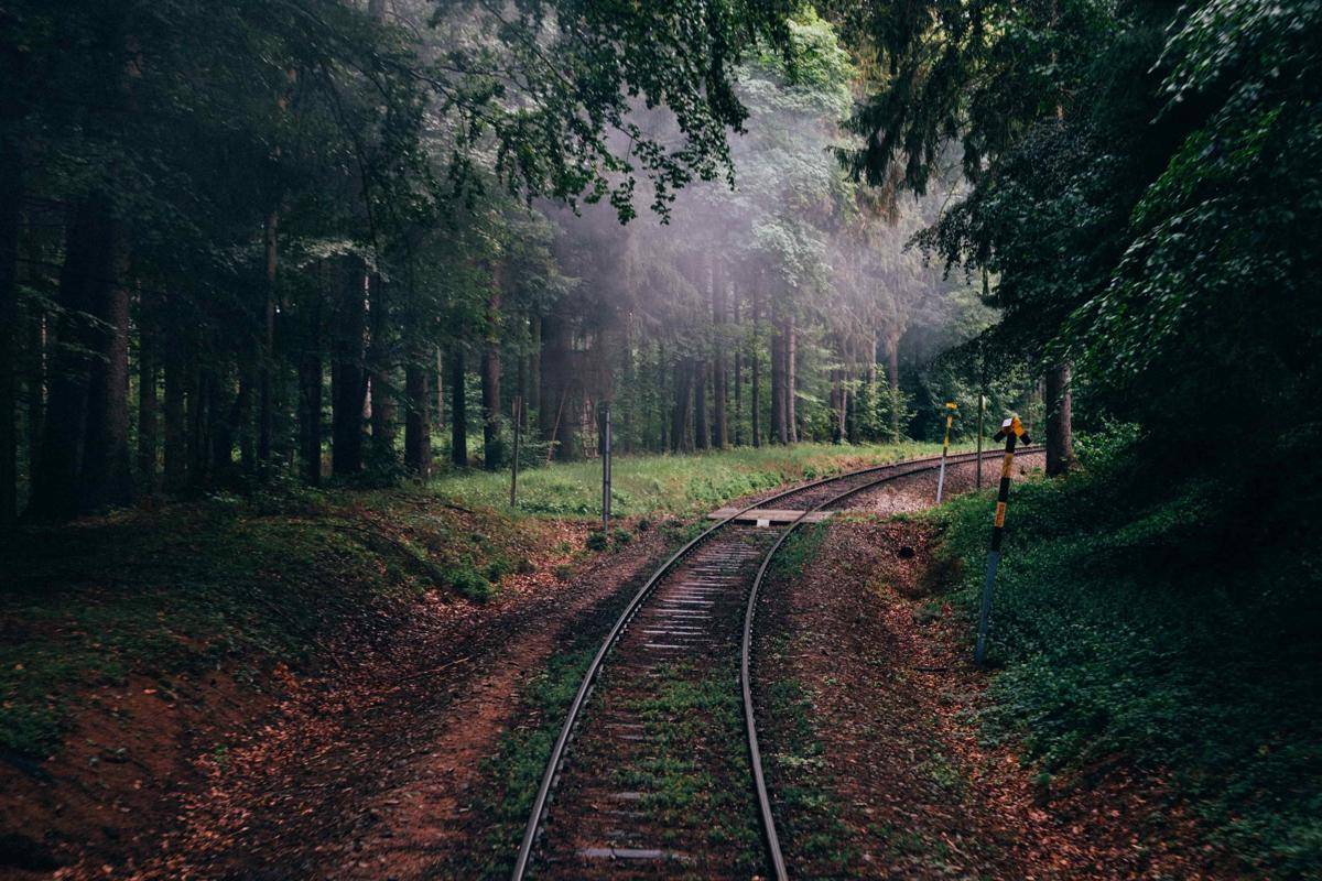 Unsplash/Claus Grunstaudi