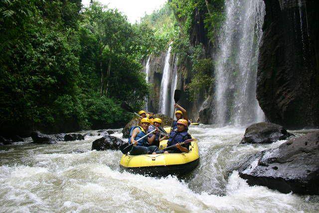 pedomanwisata.com