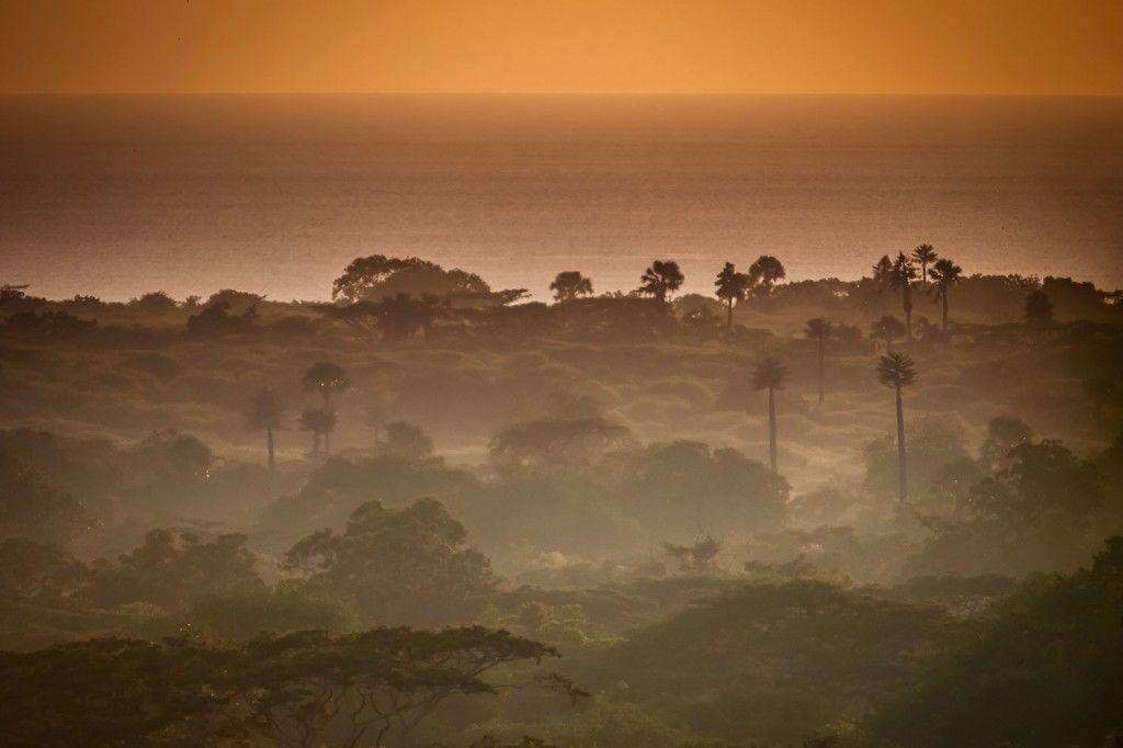 7 Hal Menarik Tentang Baluran, Africa Van Java