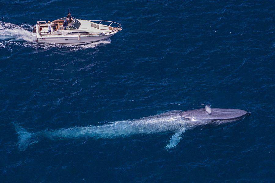 underseahunter.com