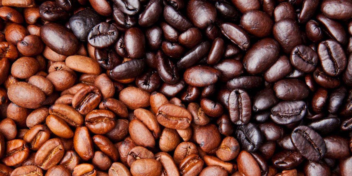 kickinghorsecoffee.com
