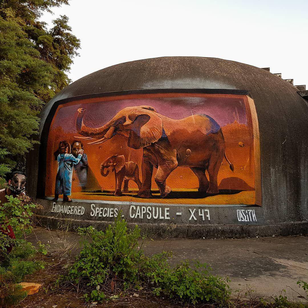 instagram.com/odeith
