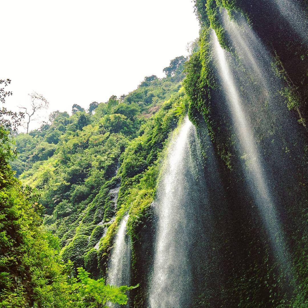 instagram.com/darioborroni