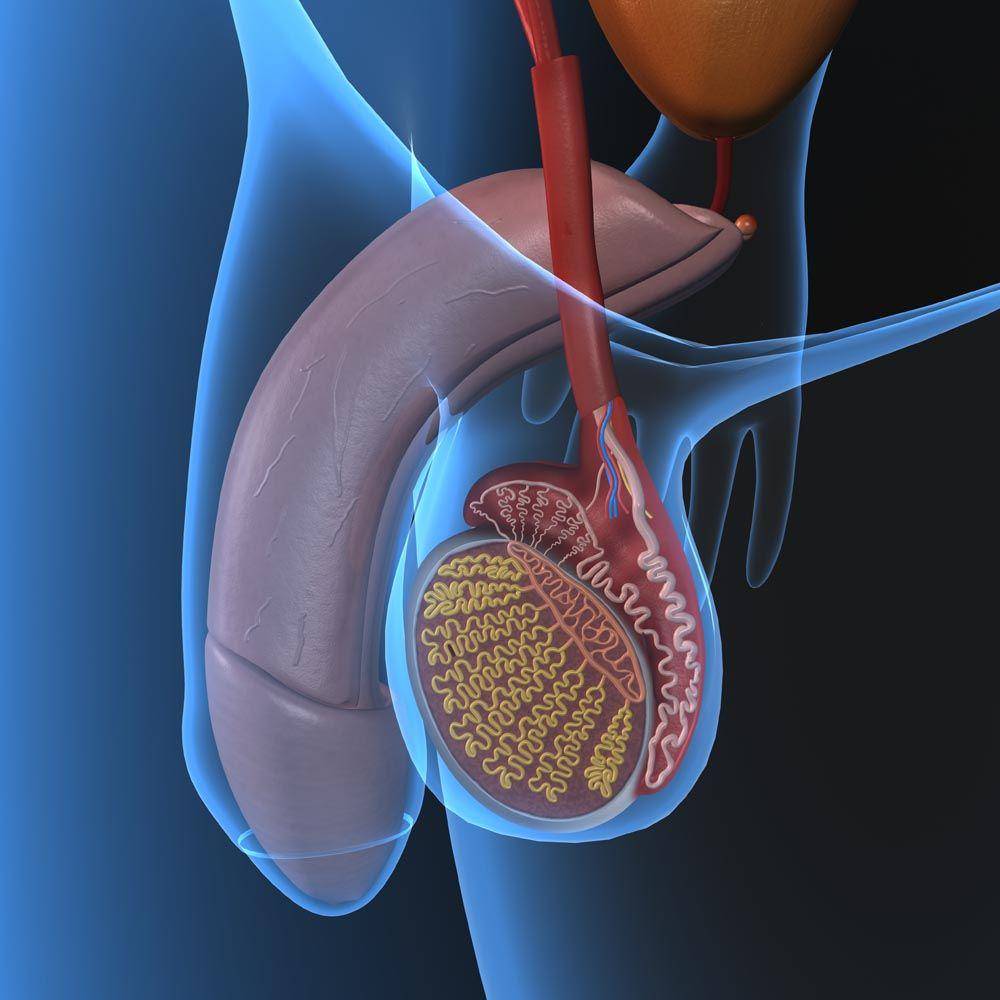 urologosenpanama.com
