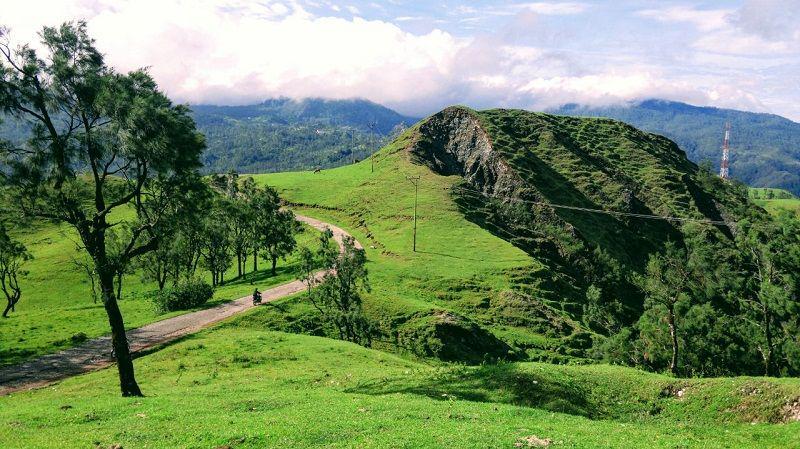 6 Foto Pesona Bukit Bikium Pulau Timor yang Menggetarkan Hati
