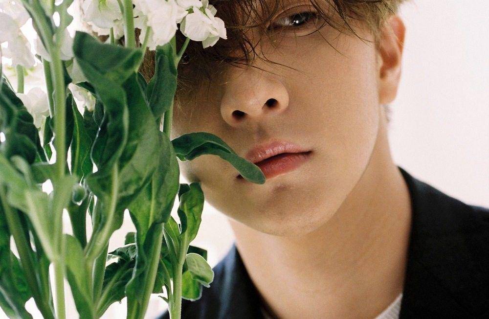 allkpop.com