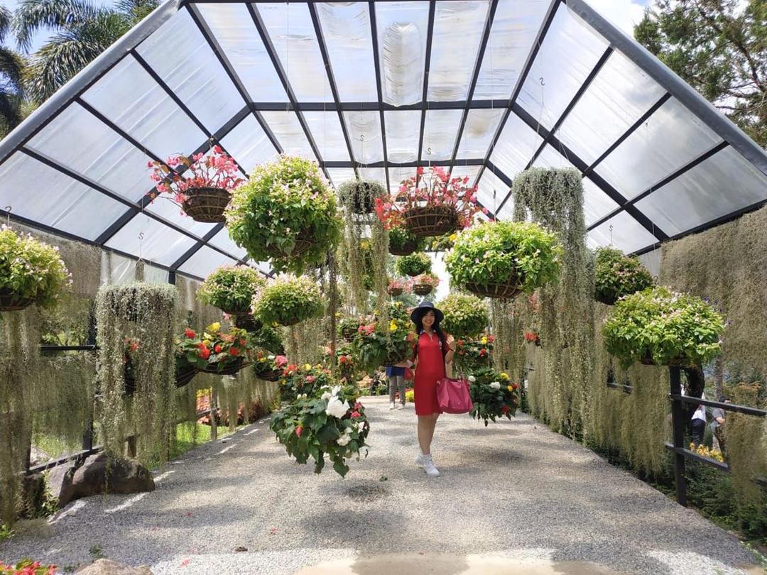 FOTO: Mae Fah Luang Garden, Taman Paling Instagramable di Thailand!