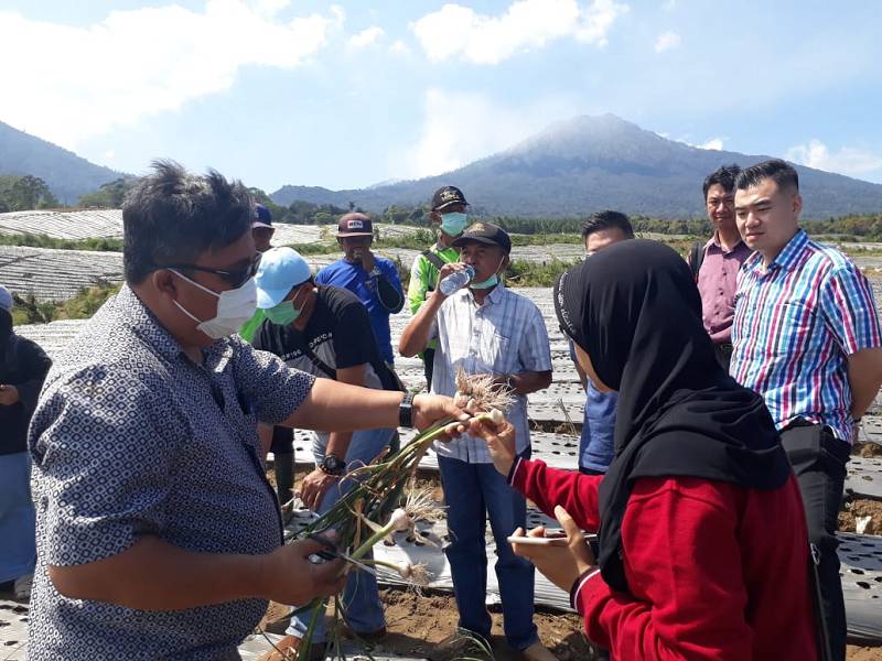 IDN Times/Kementan