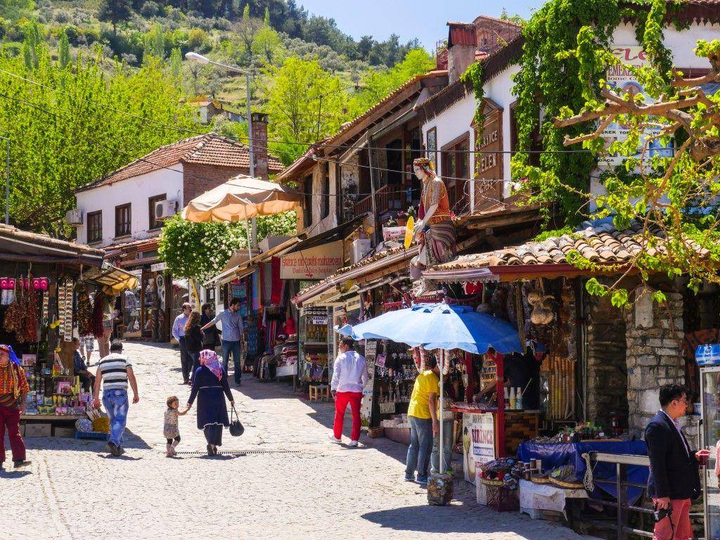 travelshoptours.com
