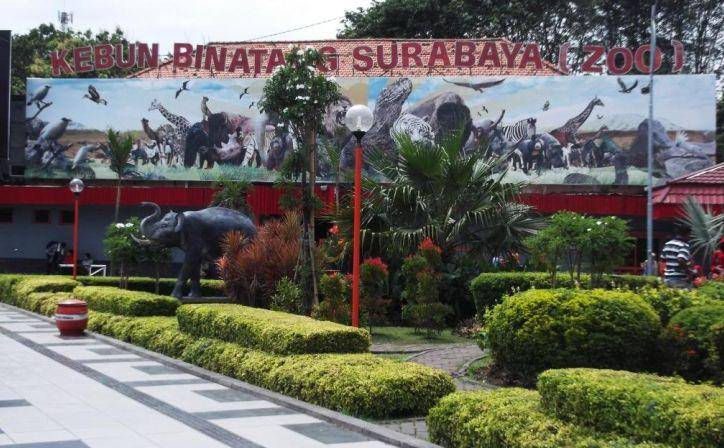 hersyafrontoneinnsurabaya.com
