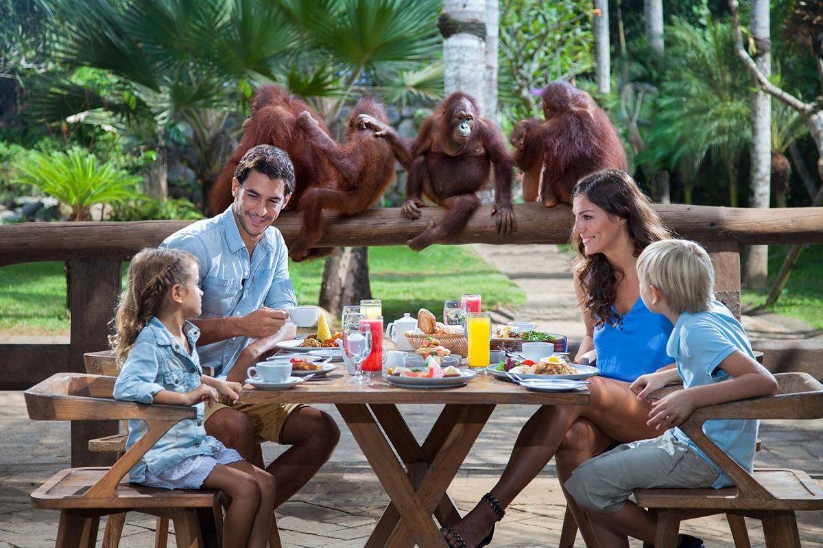 bali-zoo.com
