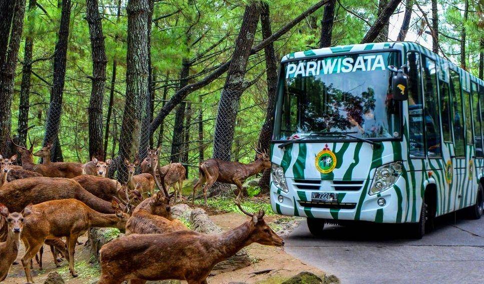 kelilingnusantara.com