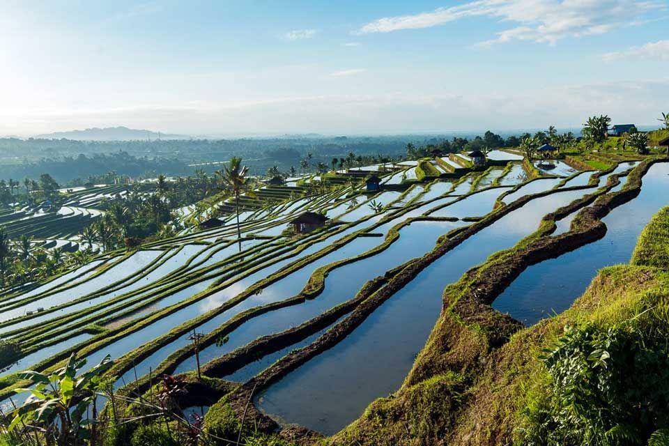 ubudvwtour.com