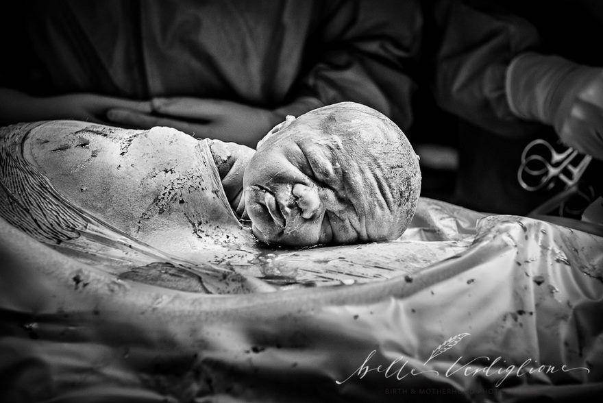 belleverdiglionephotography.com.au