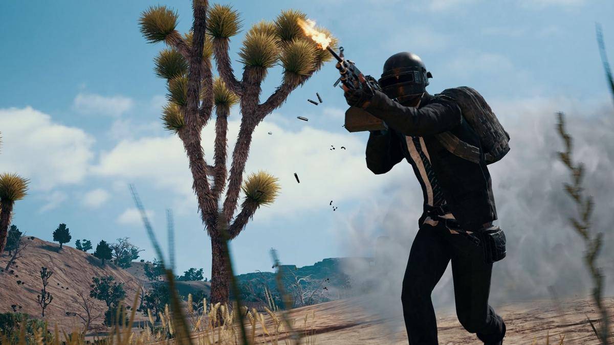 pcgamesn.com