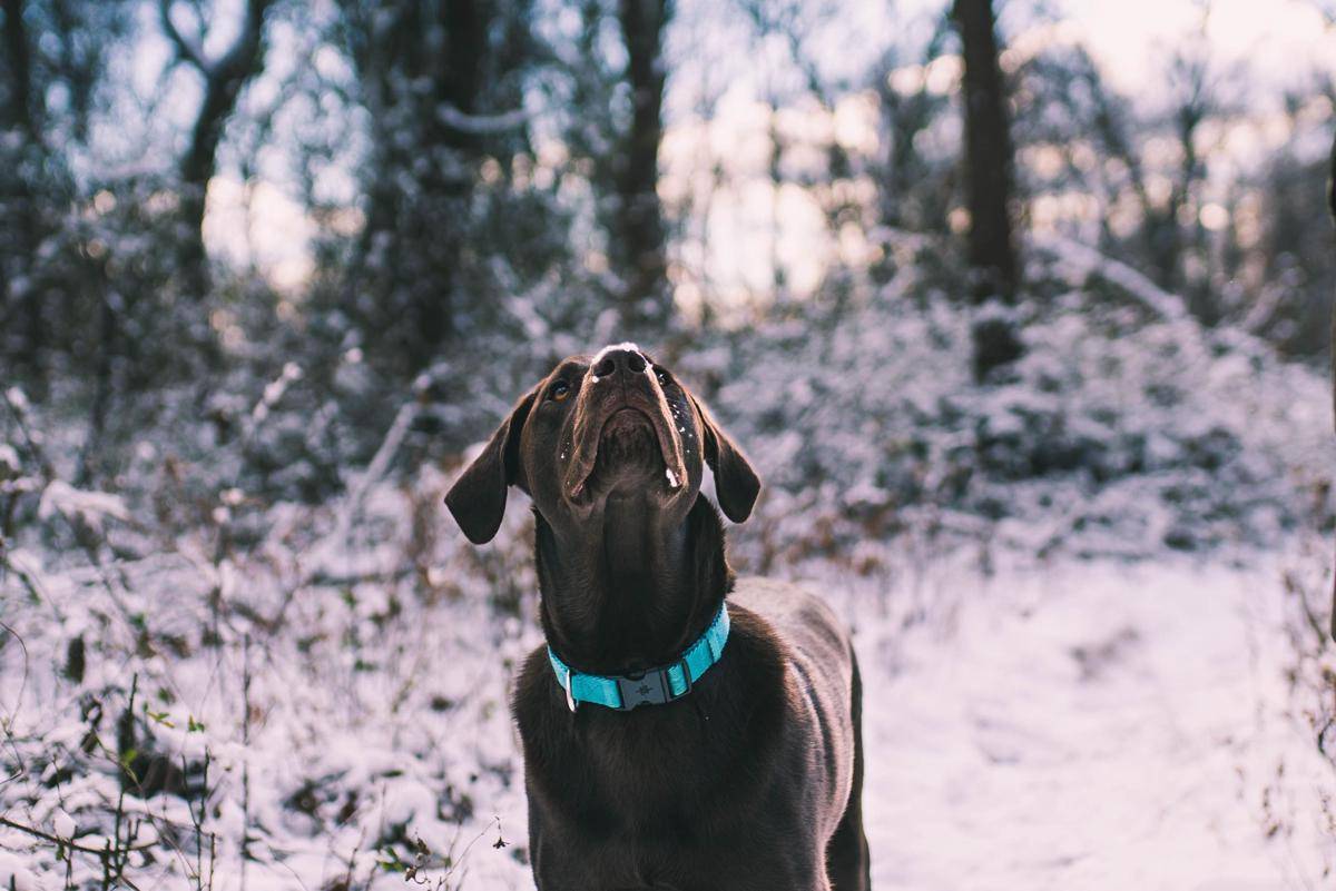 unsplash.com/joe_leahy