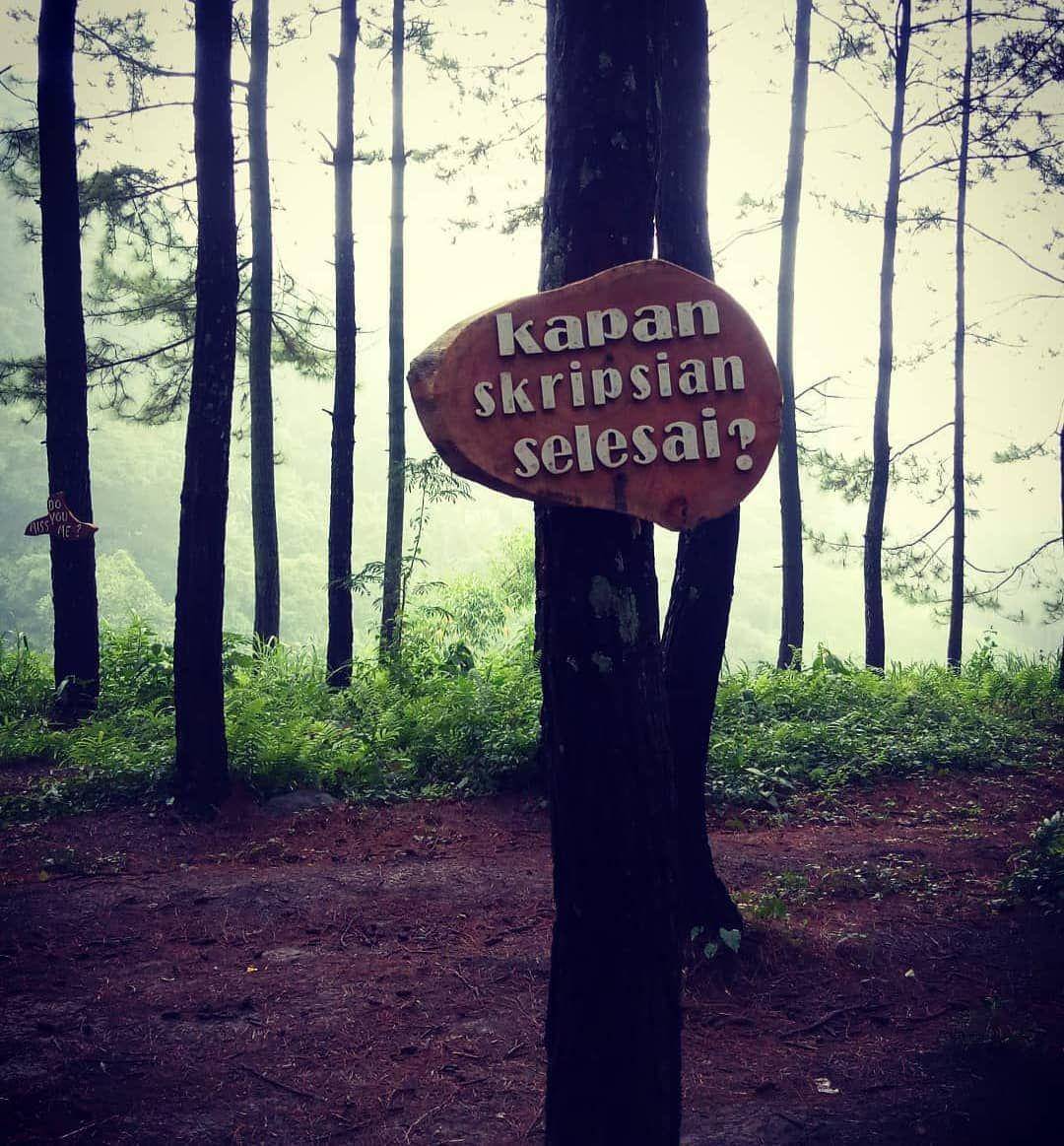 deskgram.net