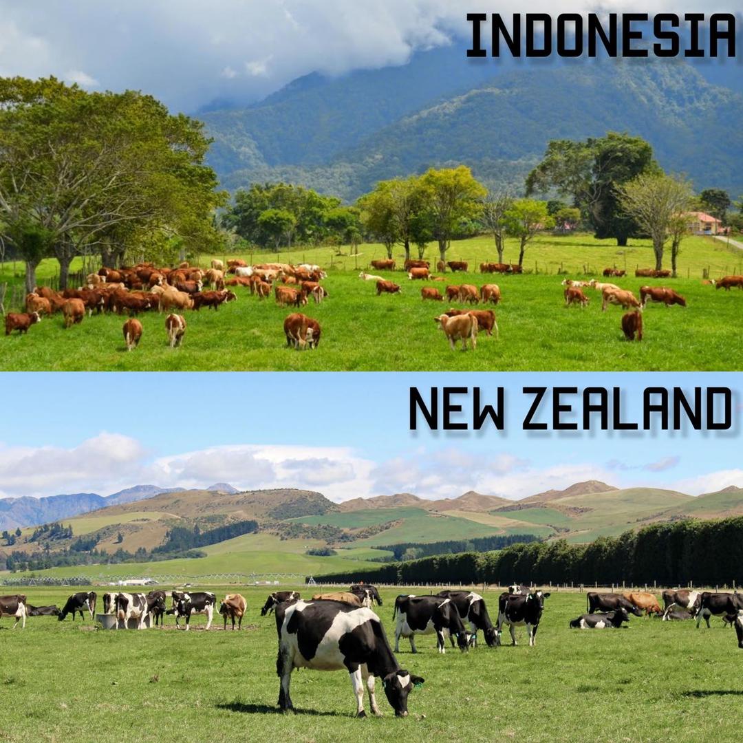 Berbagai Sumber