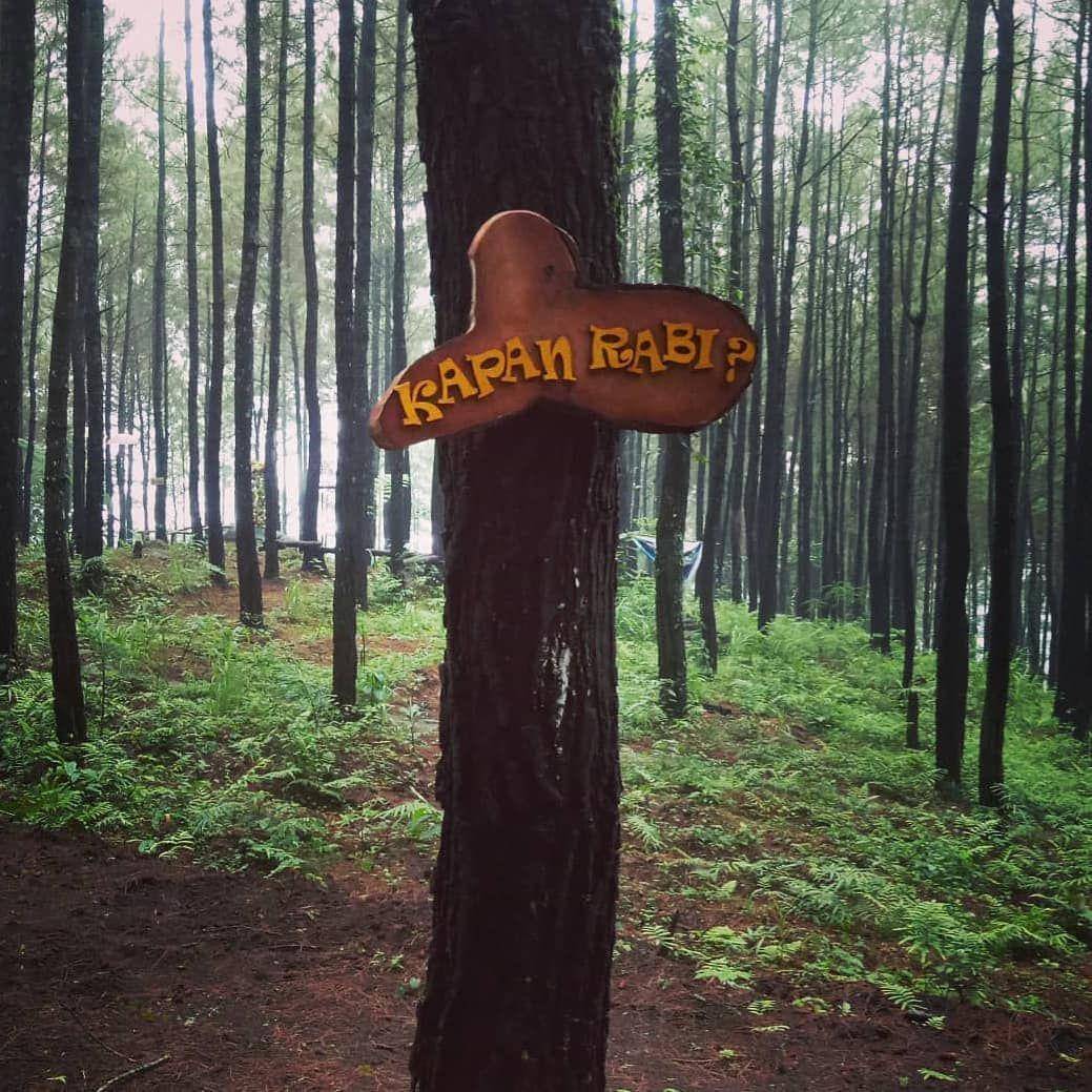 deskgram.net
