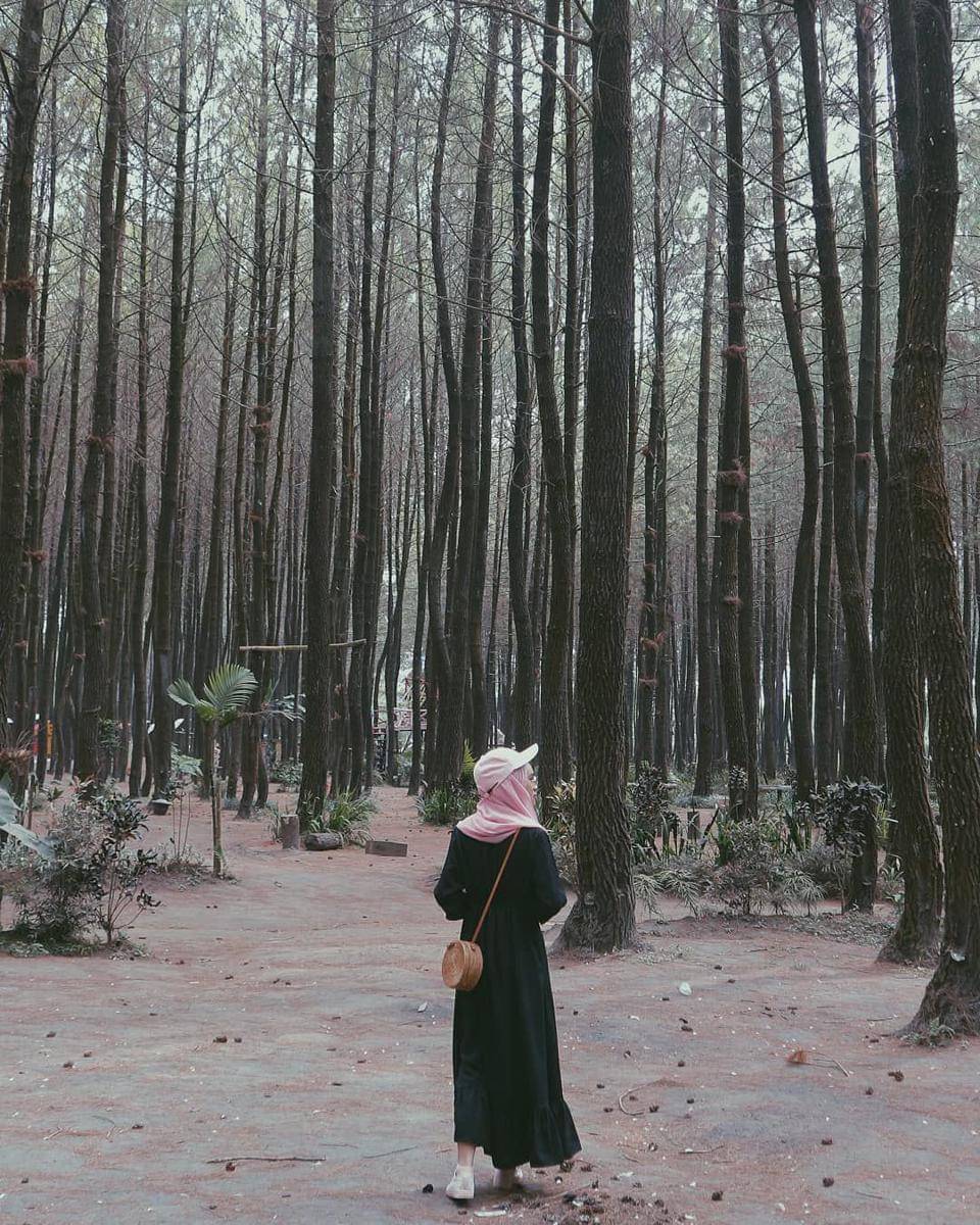 instagram.com/wullandari7