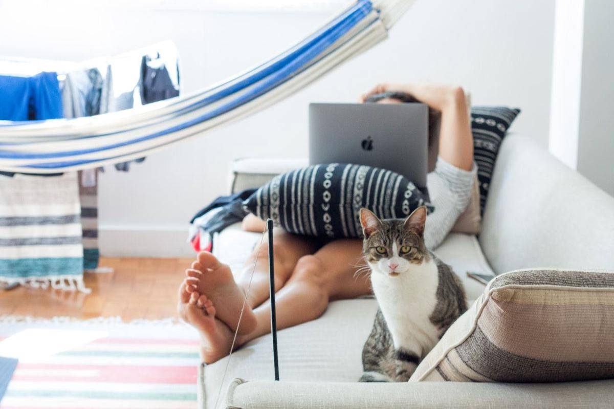 Pexels/Monica Silvestre