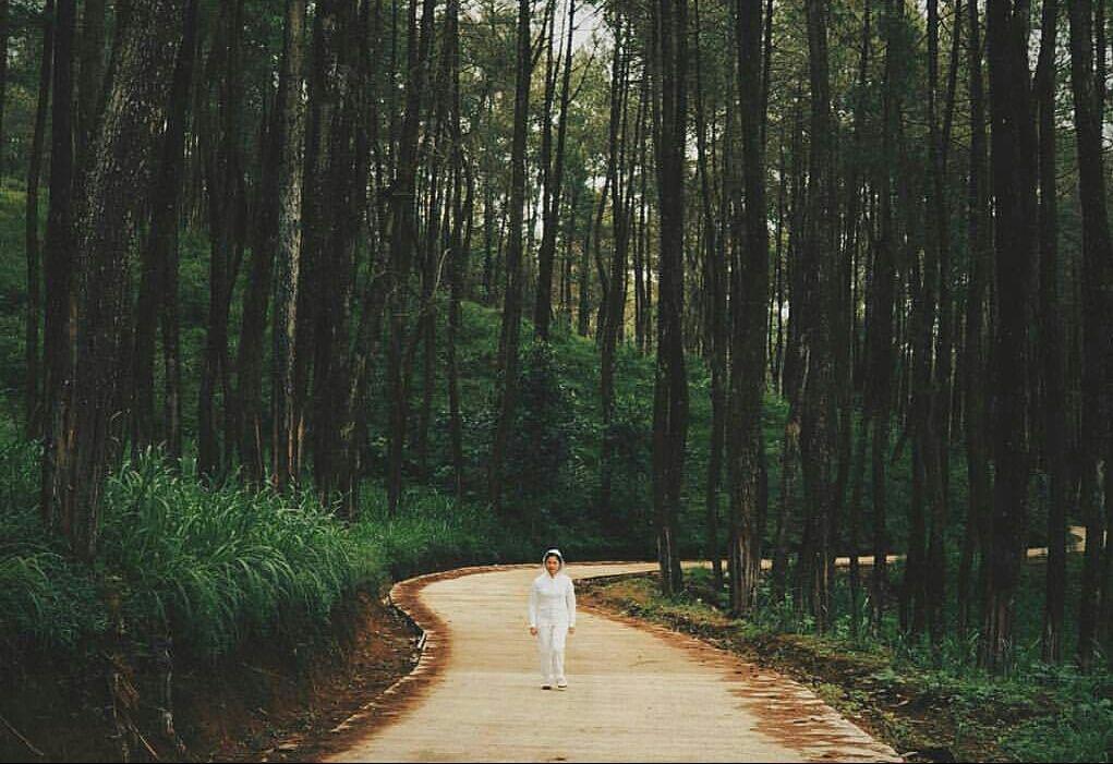 instagram.com/aldy_aldot