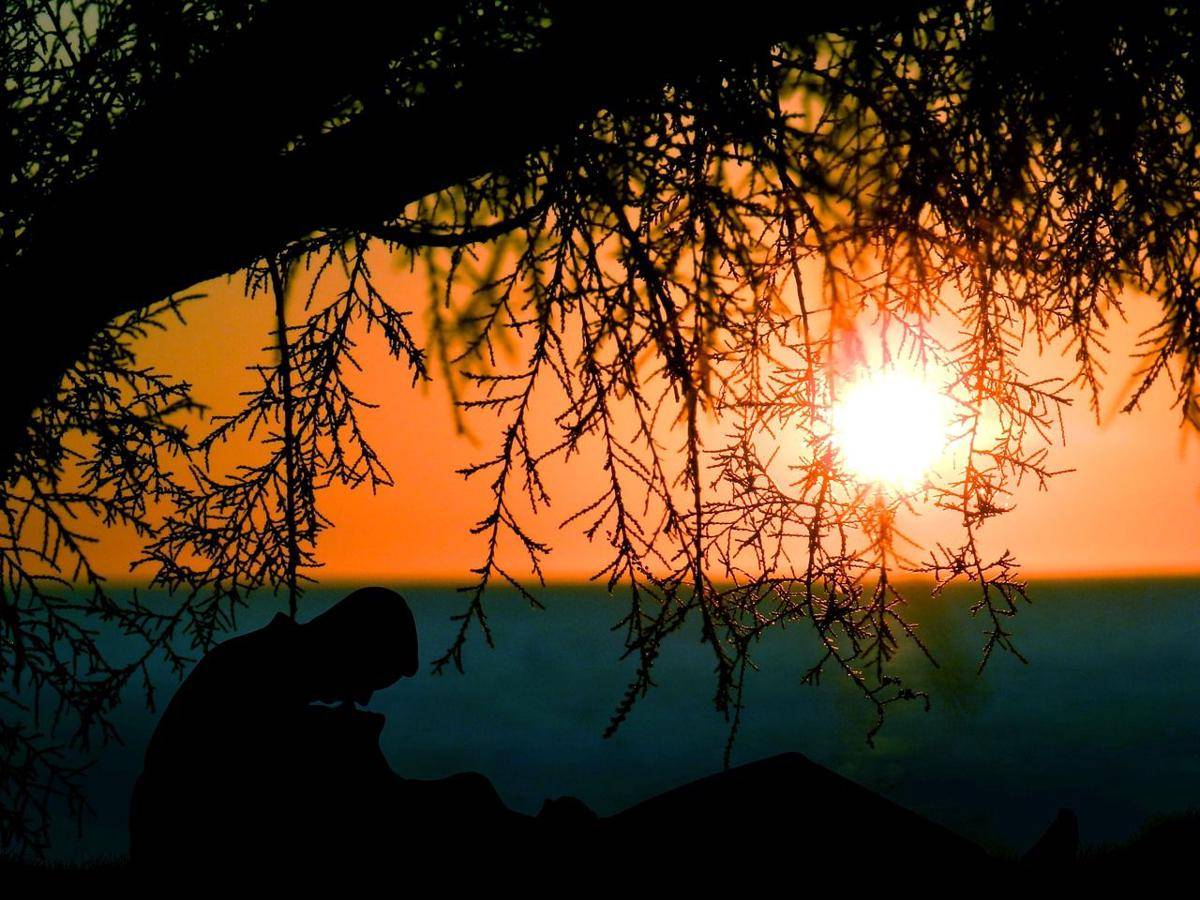 pixabay.com