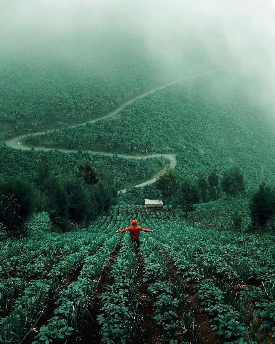 instagram.com/mistersuu/