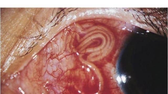 makassar.tribunnews.com