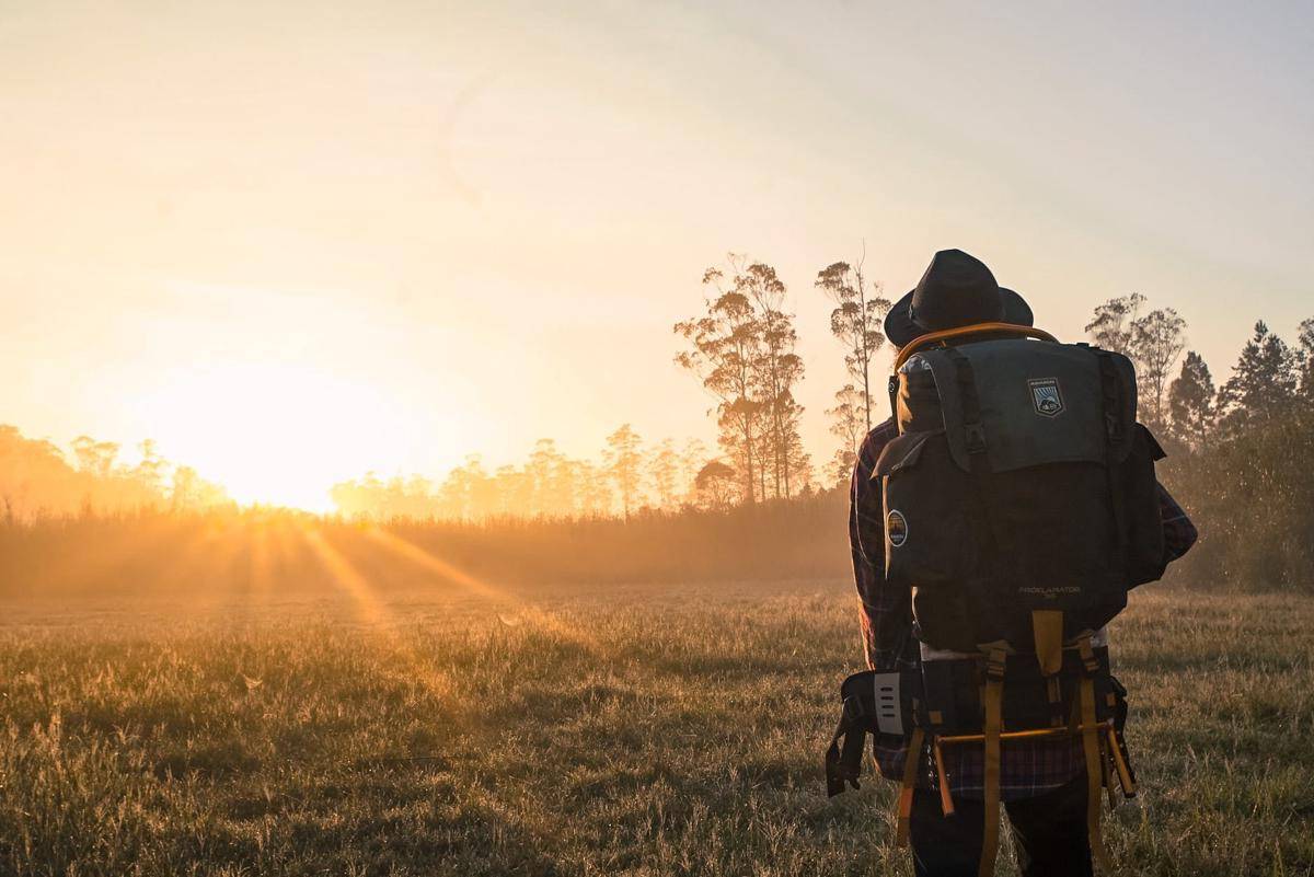 Pexels/ Kun Fotografi