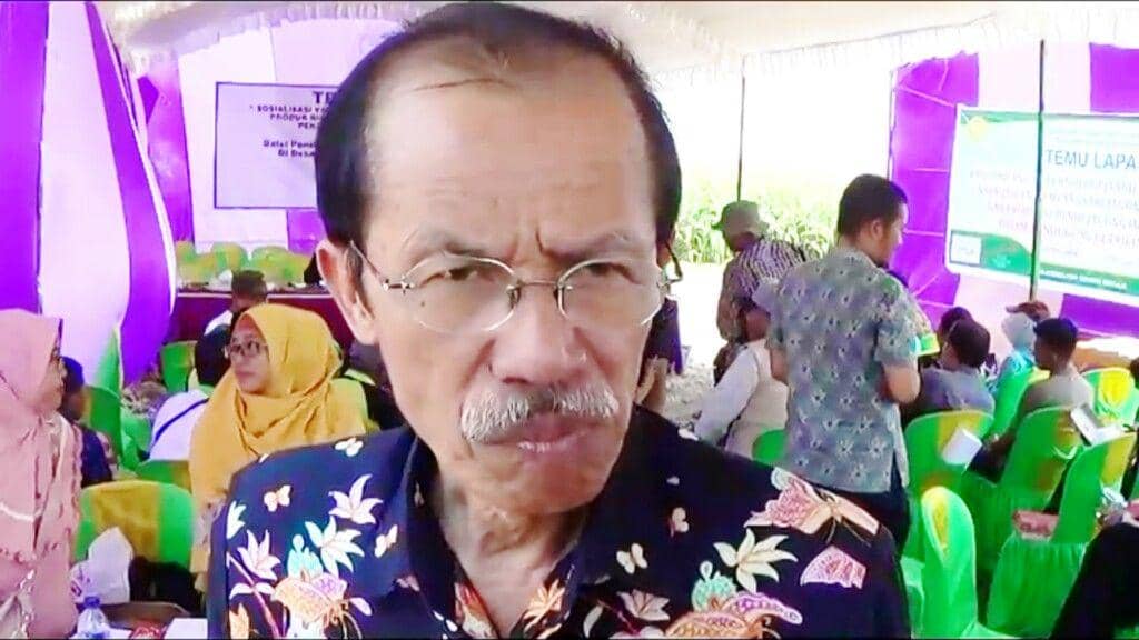IDN Times/Nofika Dian Nugroho