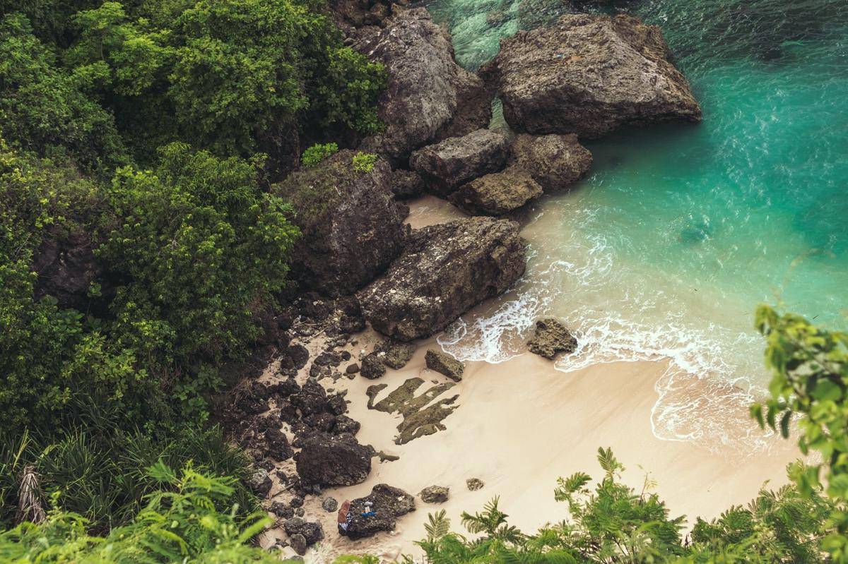 Pexels/ Artem Bali