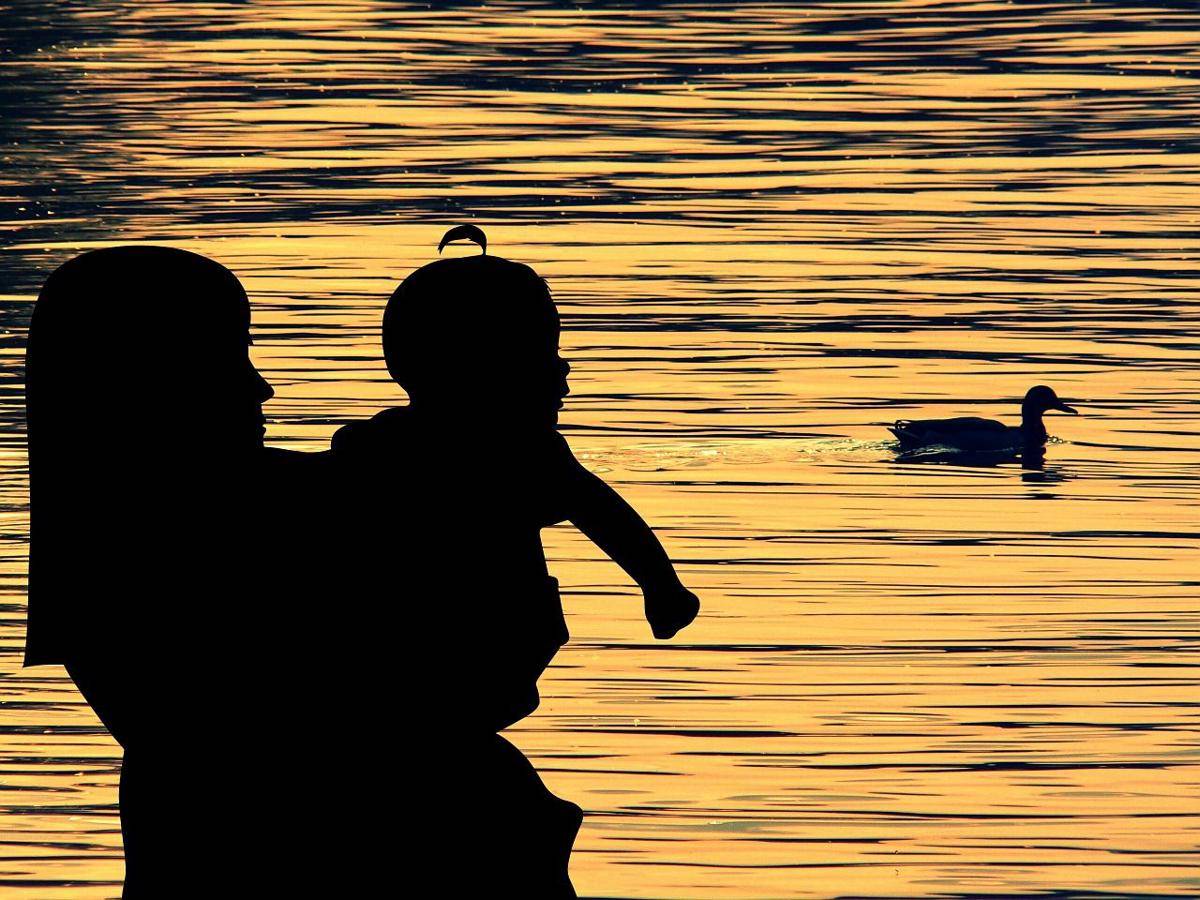 pixabay/Alexas_Fotos