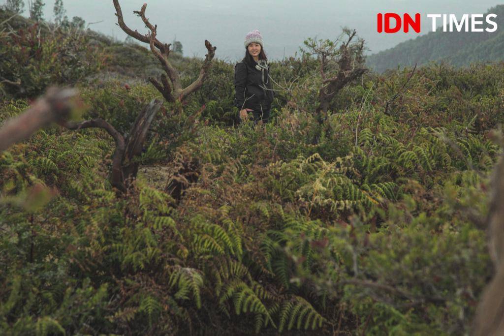 IDN Times/Reza Iqbal