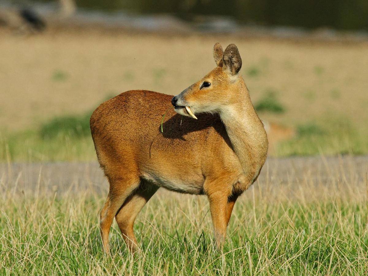 nationalgeographic.com