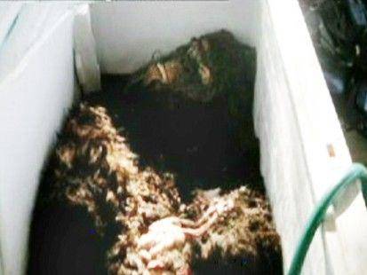 searchingforbigfoot.com