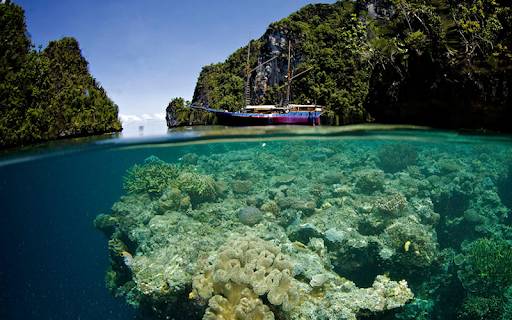Wickeddiving.com