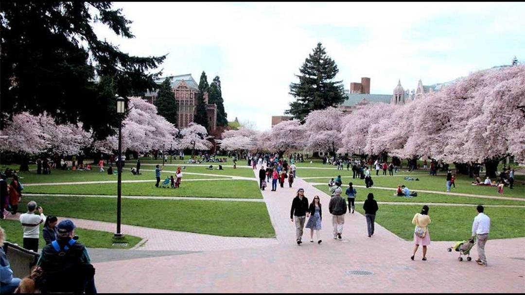 8 Community College Favorit Anak Indonesia di Amerika Serikat