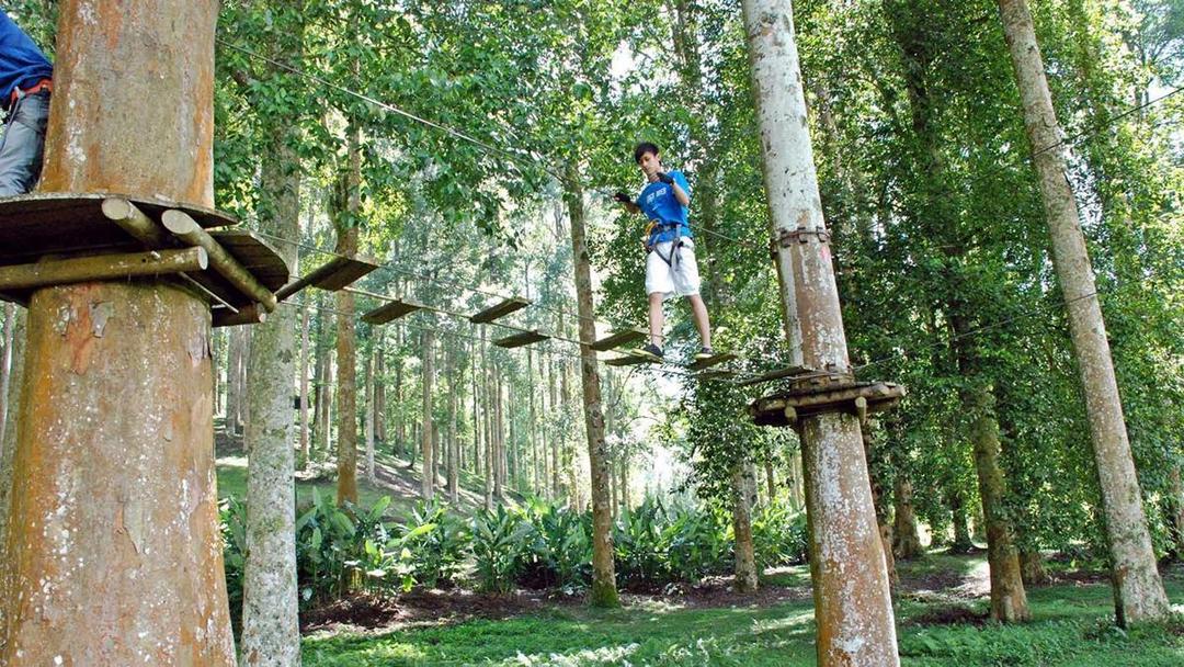 5 Alasan Kamu Wajib Kunjungi Kebun Raya Bali Saat Liburan