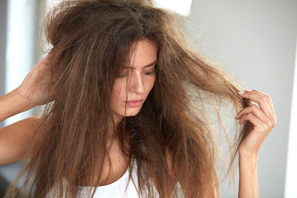 lionessebeautybar.net