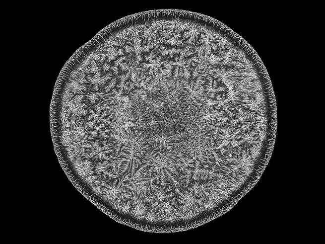 nikonsmallworld.com/Saulius Gugis