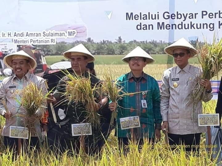 IDN Times/Kementan