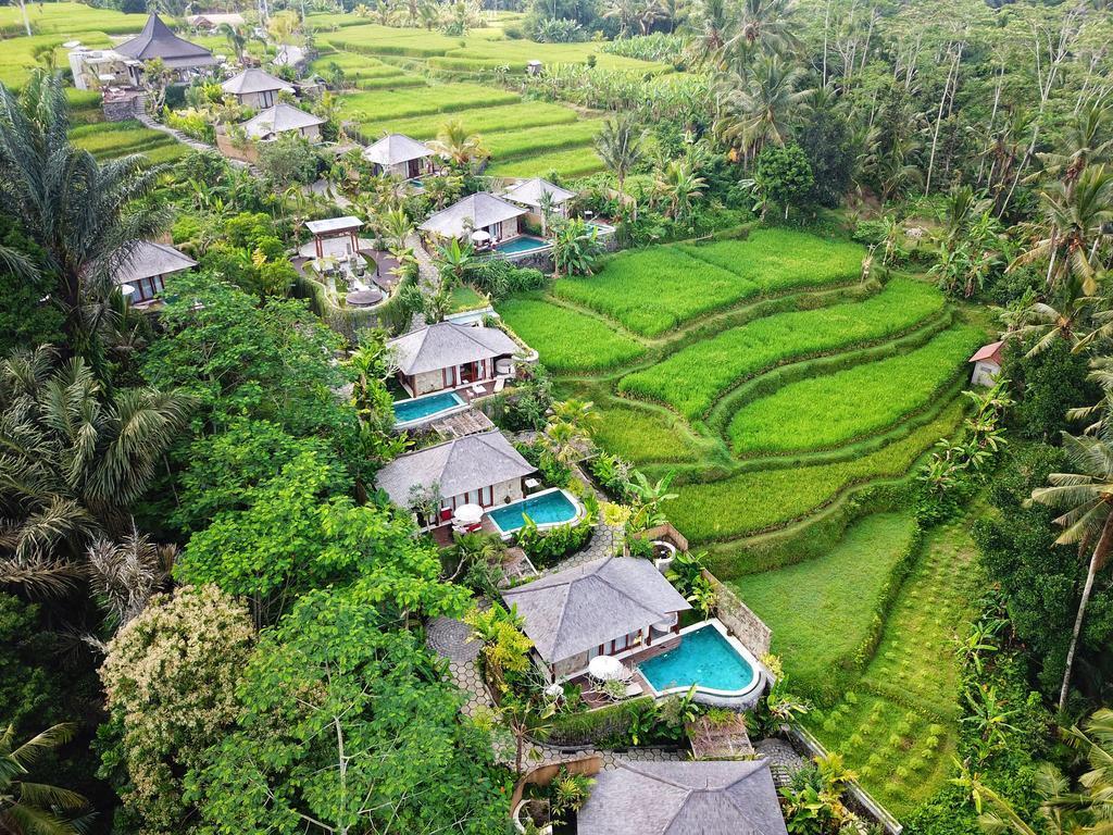 6 Destinasi Wisata Kece di Ubud Ini Siap Merefresh Pikiranmu