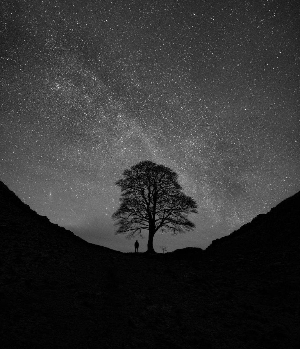 Mark McNeill/Insight Astronomy Photographer of the Year